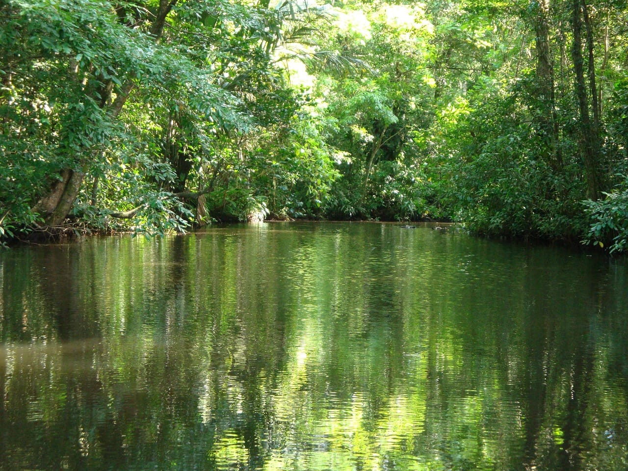 Voyage au Costa Rica en 2025 - canaux fluviaux de Tortuguero - Visiter Tortuguero - Agence de voyage NostaLatina ANN