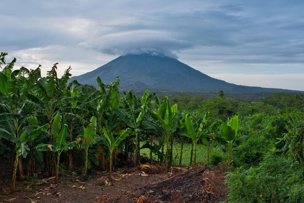 Voyage au Nicaragua en 2026 - Volcan conception à ometepe vu depuis en bas - Voyage sur mesure avec NostaLatina ANN