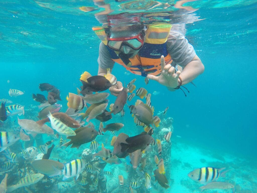 Voyage au Panama en 2025 - Snorkeling dans les eaux turquoises de San Blas - ANN NostaLatina
