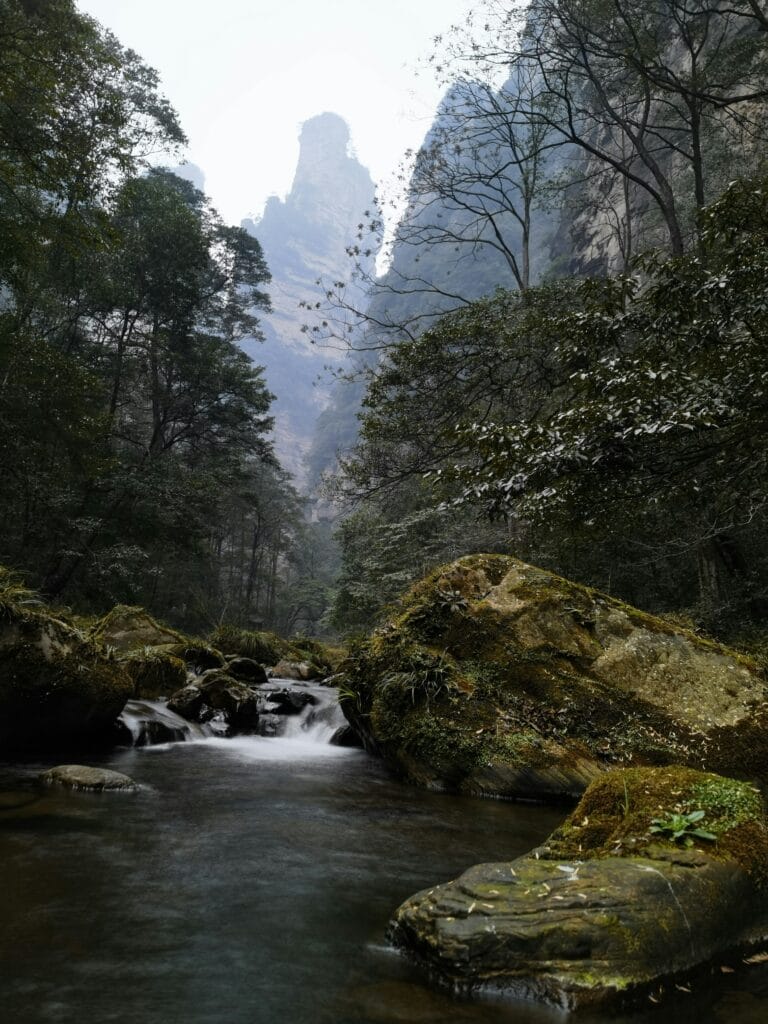 Voyage en Chine en 2025 - Golden Whip Stream dans le parc de zhangjiajie, sentier au pied des piliers rochaux - Agence de voyage NostalAsie ANN