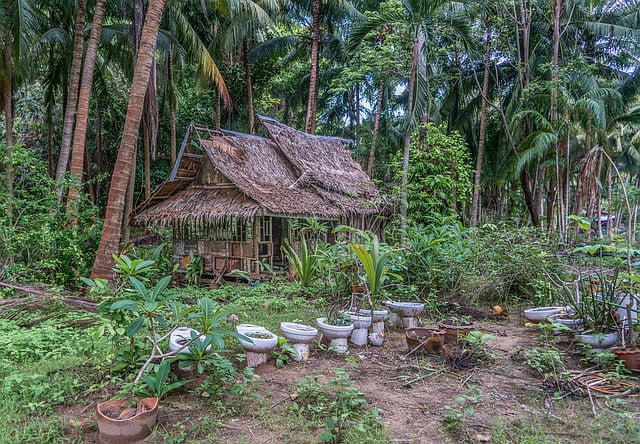 Trekking Thaïlande : Le complexe forestier de Dong Phayayen-Khao Yai