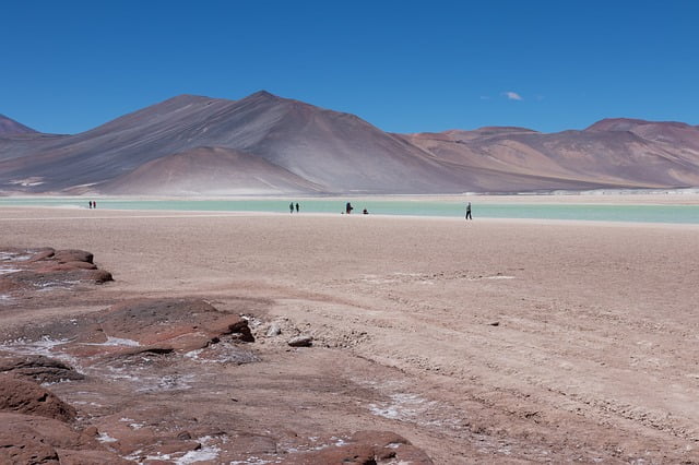 Circuit individuel Chili : Le désert d’Atacama - lagune