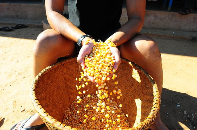 Voyage Népal : Sa cuisine, le Dal Bhat