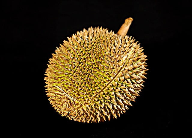 Voyagiste Indonésie : Le Durian