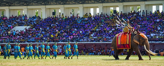 Vacances en Thaïlande : le Festival des éléphants de Surin