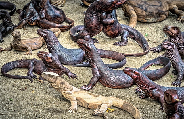 Voyages aventure Indonésie: Le parc national de Komodo