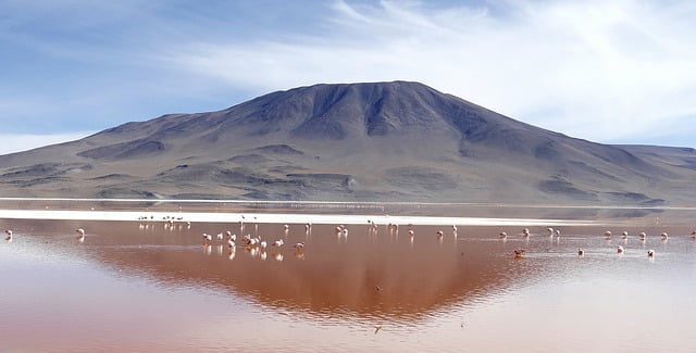 Séjour Bolivie : Laguna Colorada et Laguna Verde