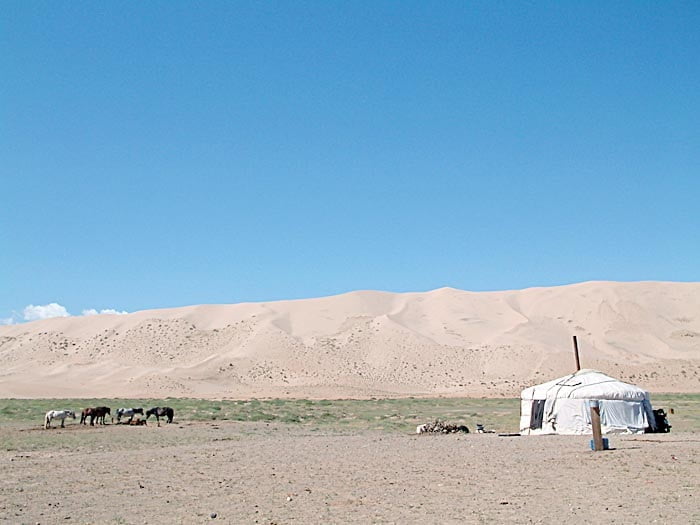 Voyagiste Mongolie : Partir avec une agence ou seul ?