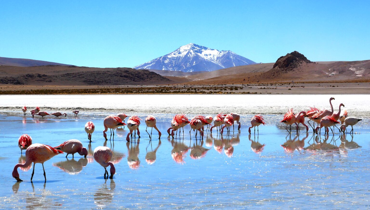 Voyagiste Bolivie : Quel circuit en individuel ?