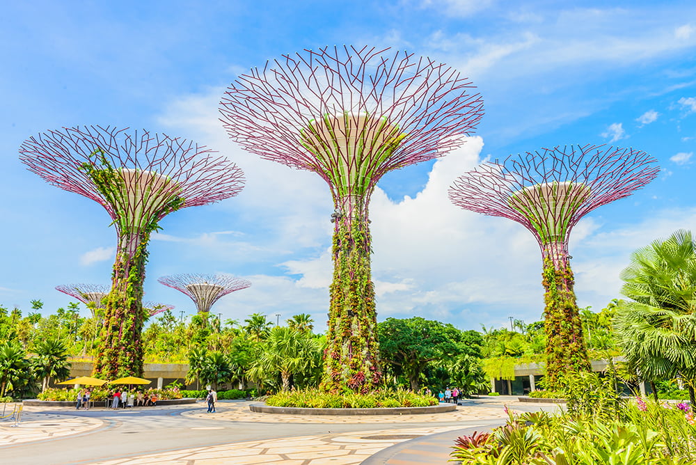 Voyage Singapour : Le Jardin Botanique
