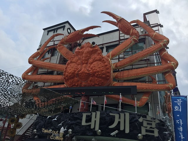 Séjour Corée du Sud : Le festival du crabe des neiges d’Uljin