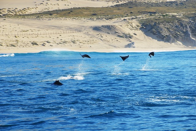 Blog Voyage Mexique : Los Cabos et ses souffleurs de verre