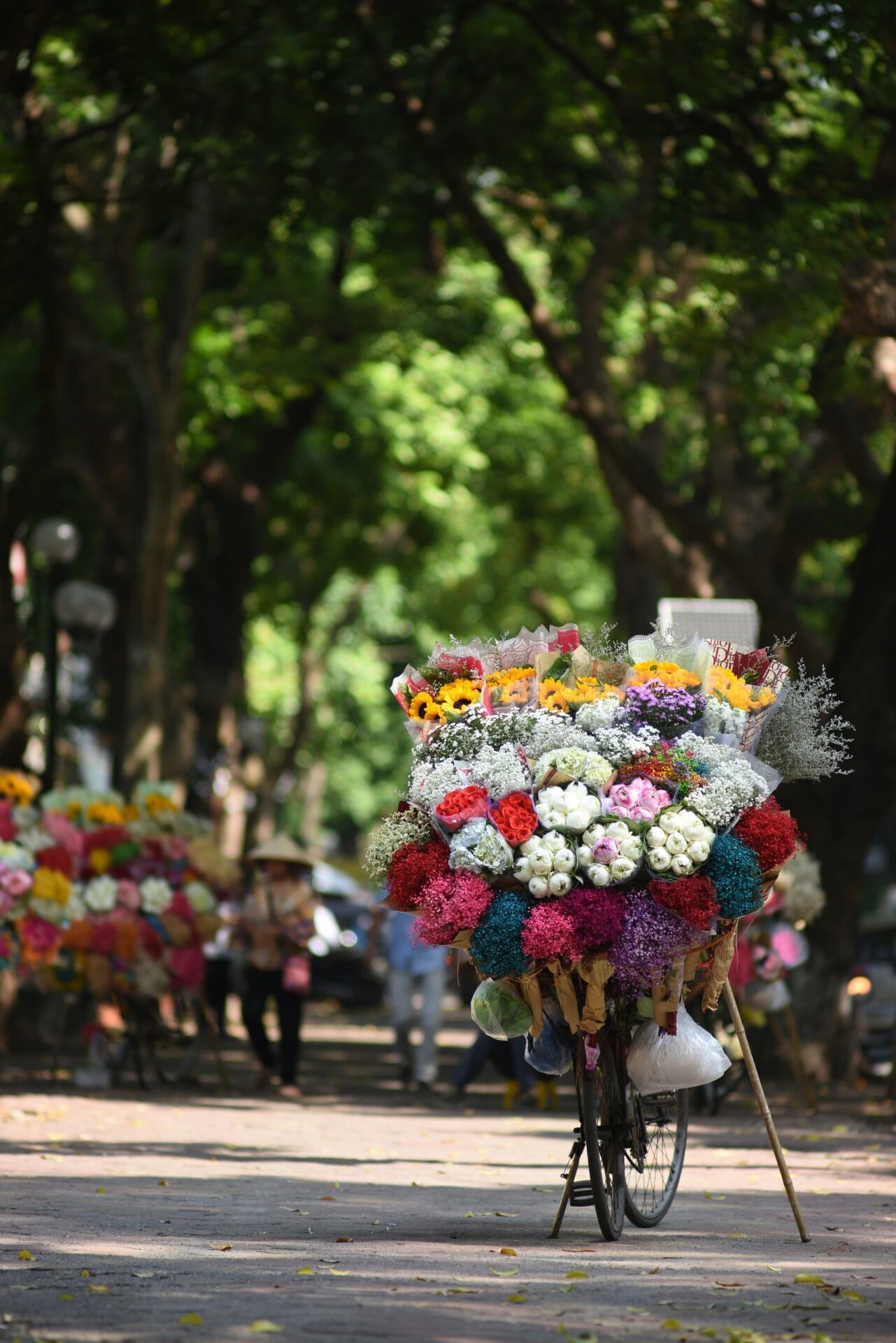 Actualité du mois - juin 2025 - Homme à vélo rempli de fleurs en Colombie - Feria de las Flores 2025, Colombie - NostaLatina ANN