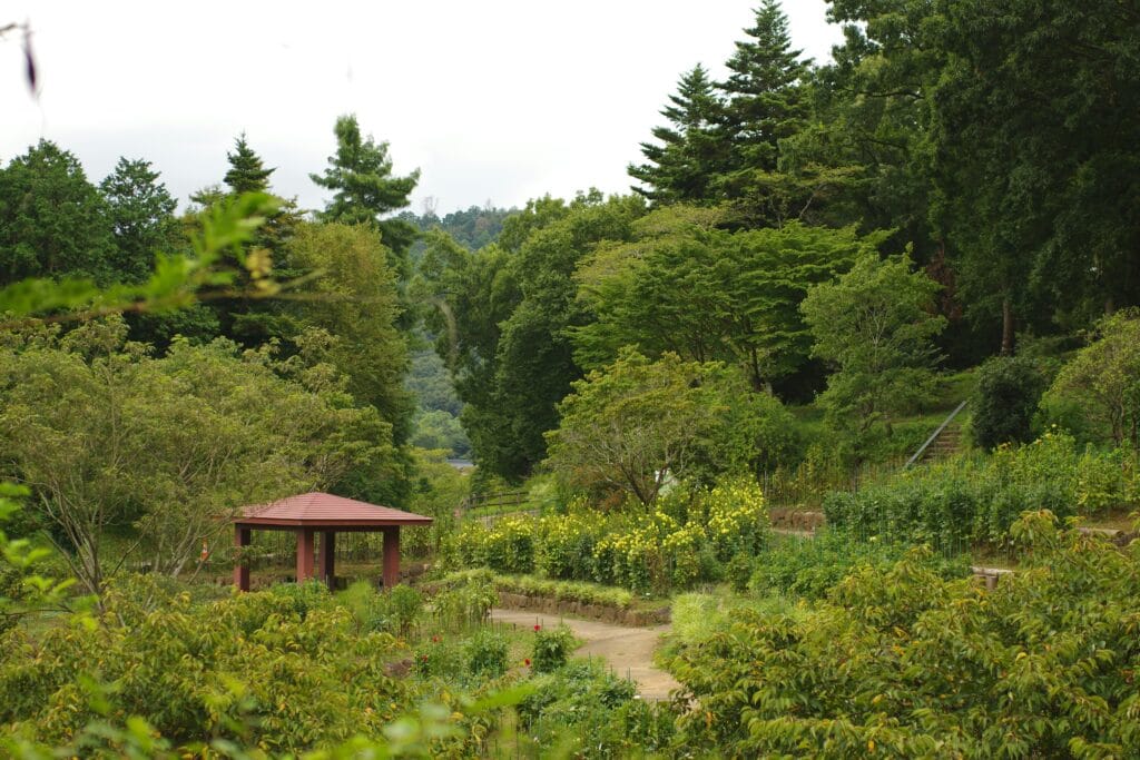 Voyage à Hong Kong en 2025 - Jardin au sommet du Pic Victoria - Agence de voyage NostalAsie ANN