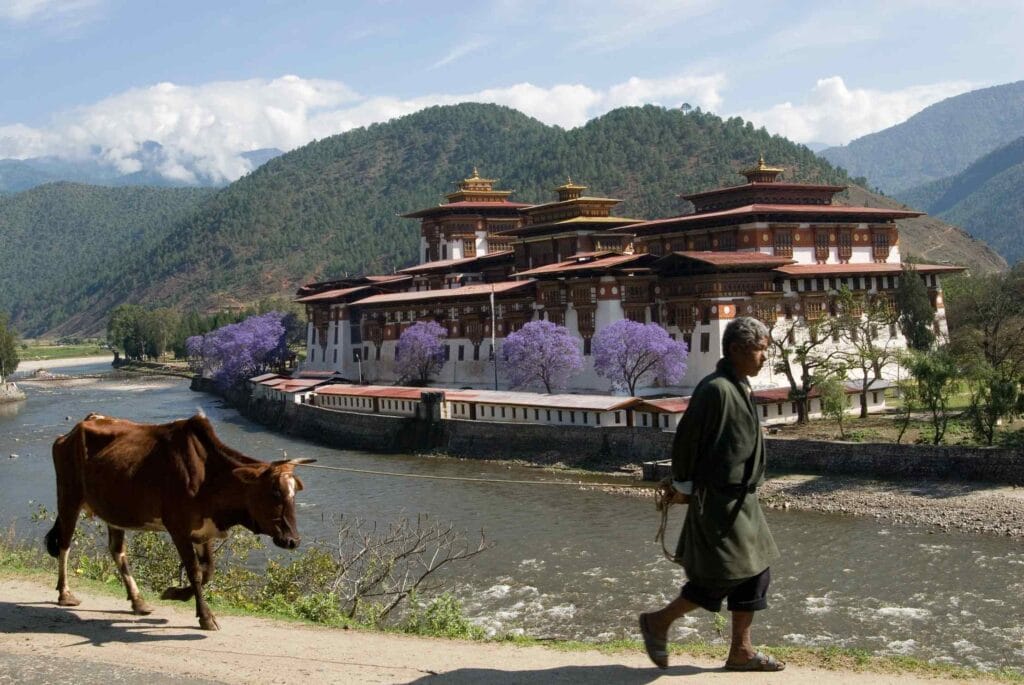 Voyage au Bhoutan en 2025 - Monastère de Punakha Dzong - ANN NostalAsie