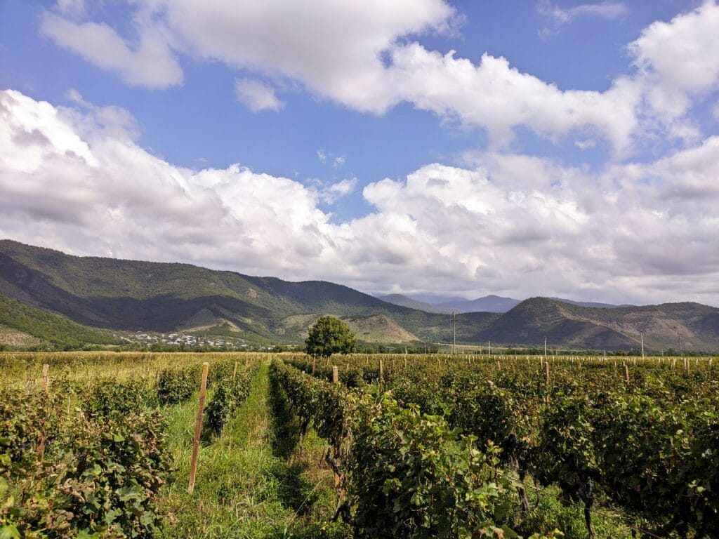 Voyage en Géorgie en 2025 - Vignobles en Géorgie - ANN NostalEurope