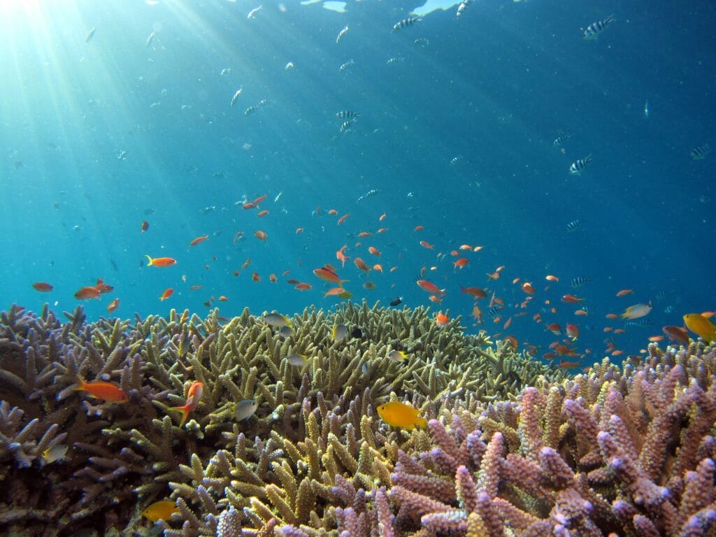 Voyage en Équateur en 2025 - Snorkeling au large des îles des Galapagos - ANN NostaLatina
