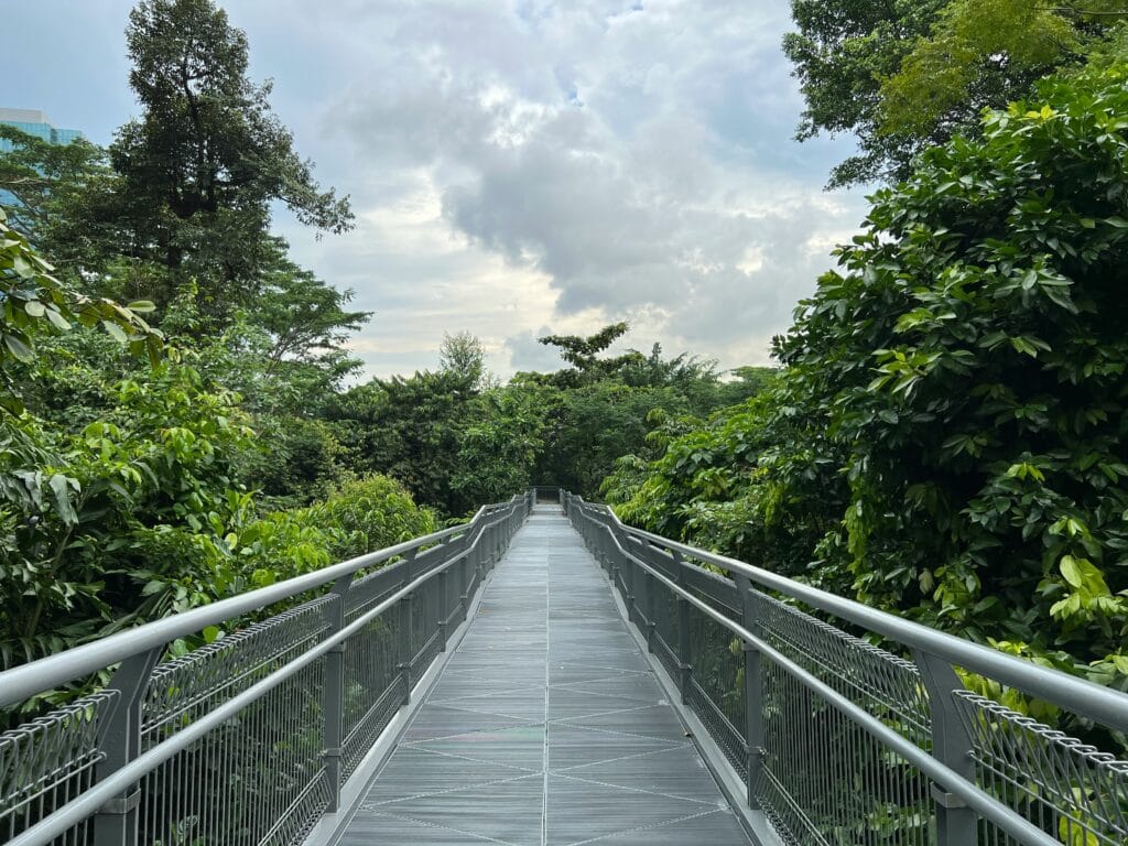 Voyage à Singapour en 2025 - Chemin au sein du treetop walk de Singapour - ANN NostalAsie