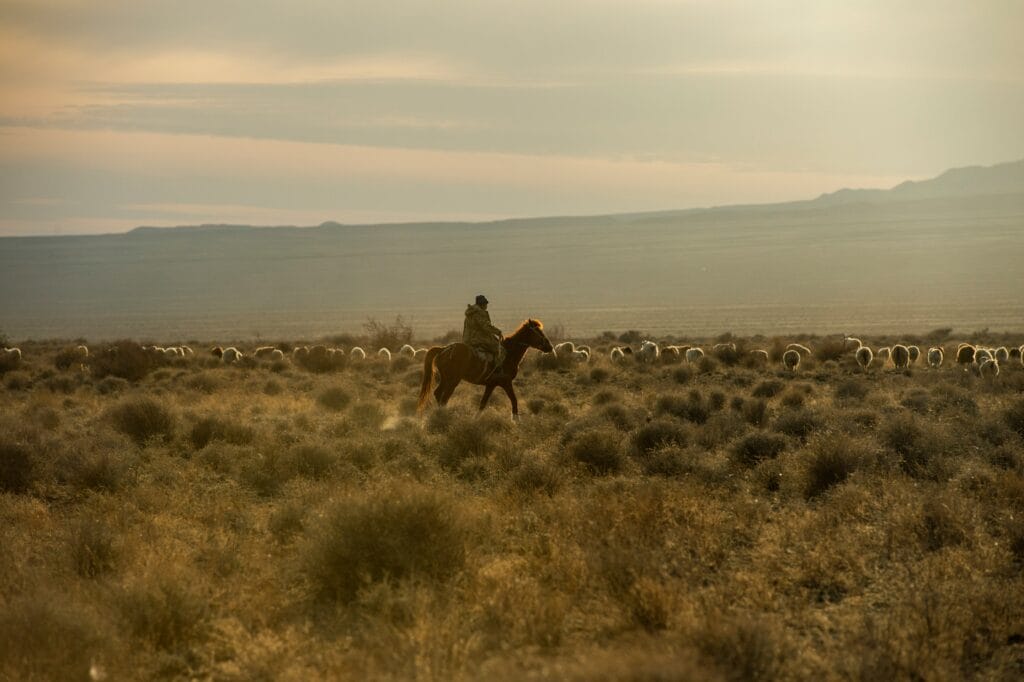 Voyage au Kazakhstan en 2025 - Parc national de Altyn Emel - Homme chevauchant au cheval dans les plaines du parc national - ANN NostalAsie