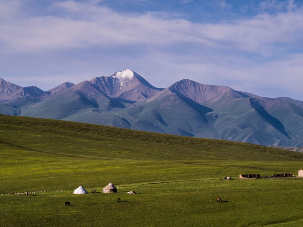 Voyage en Mongolie en 2025 - Yourtes dans le parc national de Khustai Nuruu - ANN NostalAsie