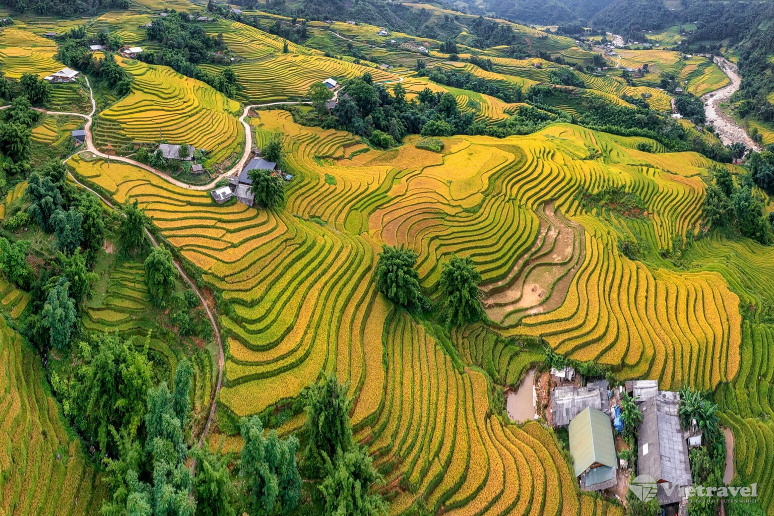 Visiter Sa Pa : randonnées et rizières au cœur des montagnes vietnamiennes
