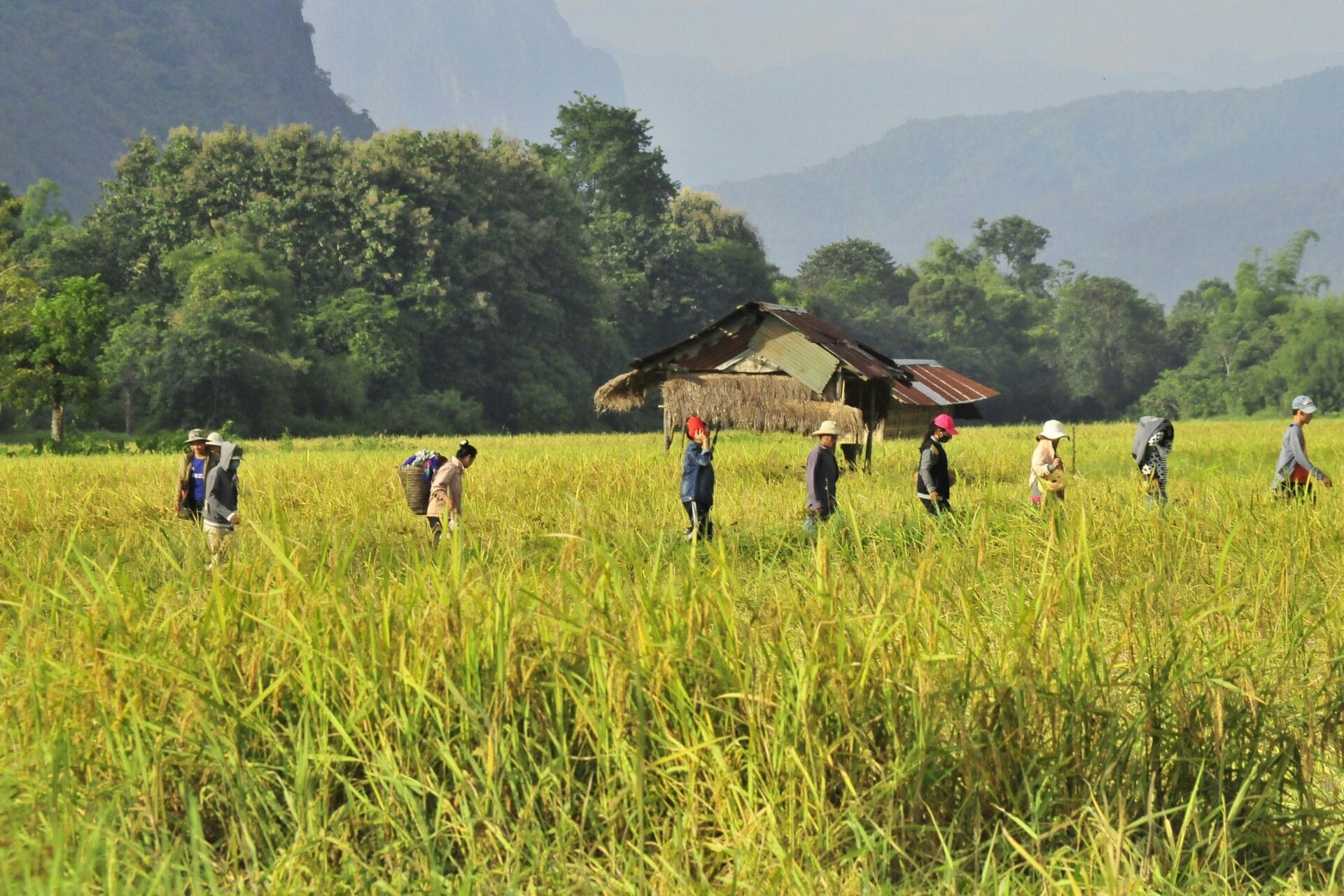 Actualité du mois - Octobre 2025 - Une carte d'arrivée numérique au Laos - NostalAsie ANN 2025