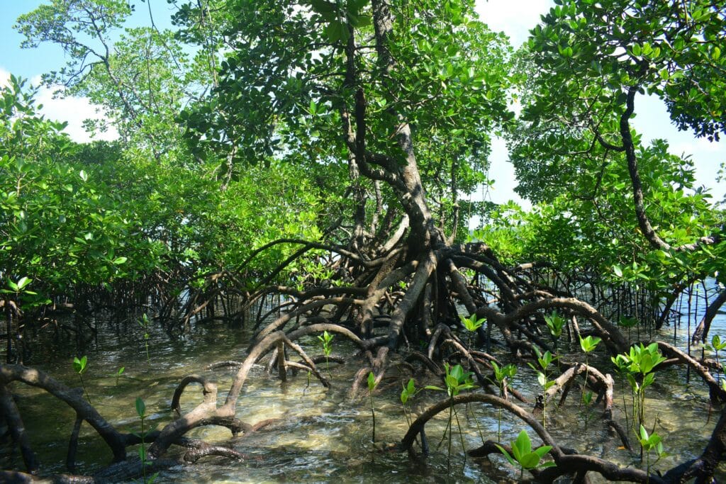 Actualité du mois - Octobre 2025 - Tourisme durable aux Philippines - NostalAsie ANN 2025