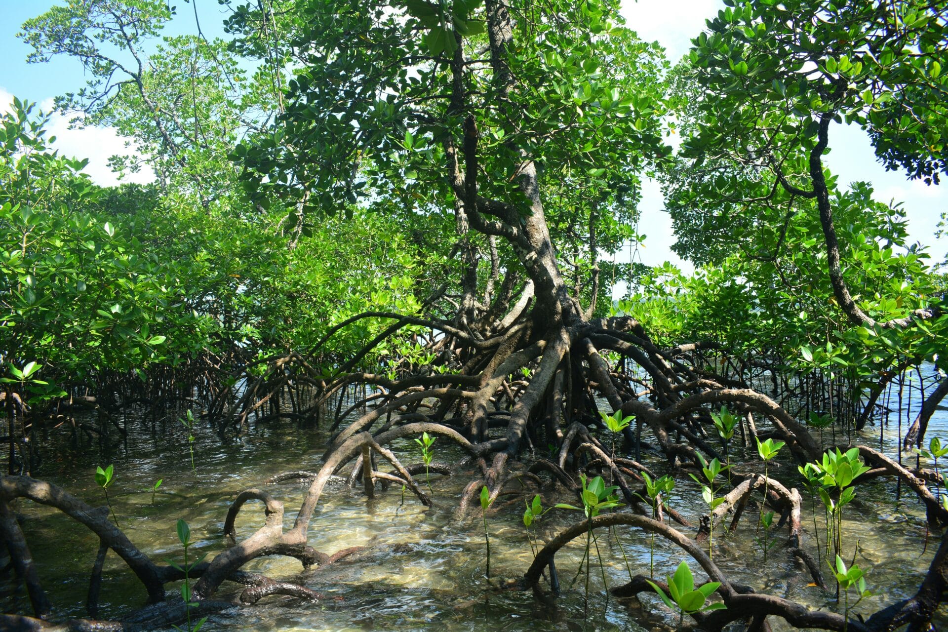 Actualité du mois - Octobre 2025 - Tourisme durable aux Philippines - NostalAsie ANN 2025