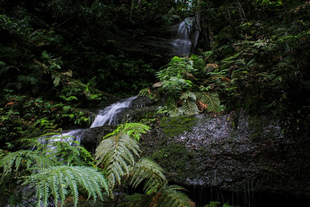Voyage au Nicaragua en 2026 - cascade san ramon à ometepe - Voyage sur mesure avec NostaLatina ANN