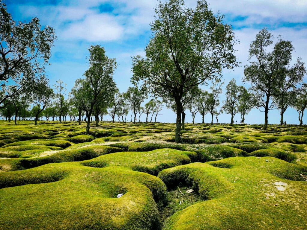 Voyage au Bangladesh en 2025 - Vertes plaines de Chittagong - Voyage sur mesure avec NostalAsia ANN