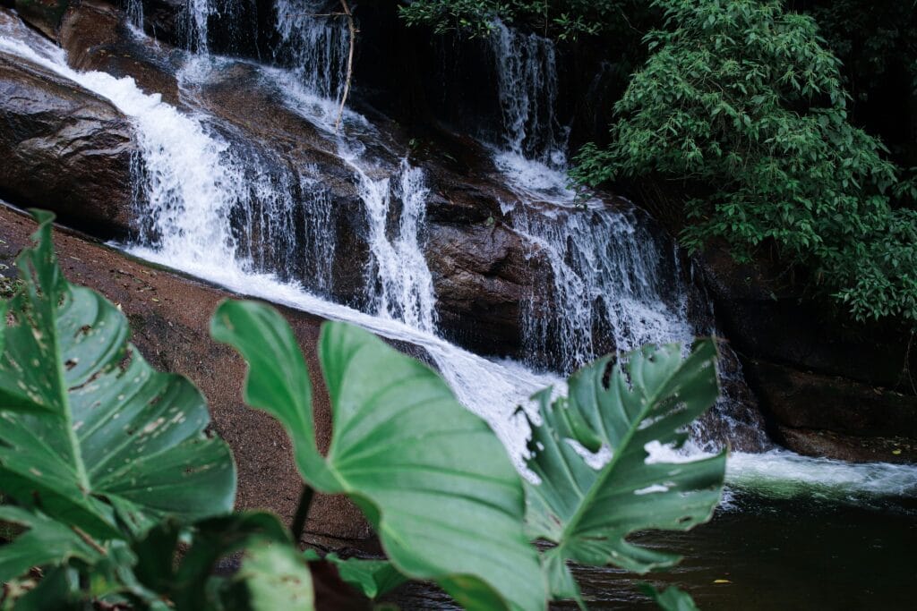 Voyage au Brésil en 2026 - cascade lors du gold trail depuis Paraty - Voyage sur mesure avec NostaLatina ANN